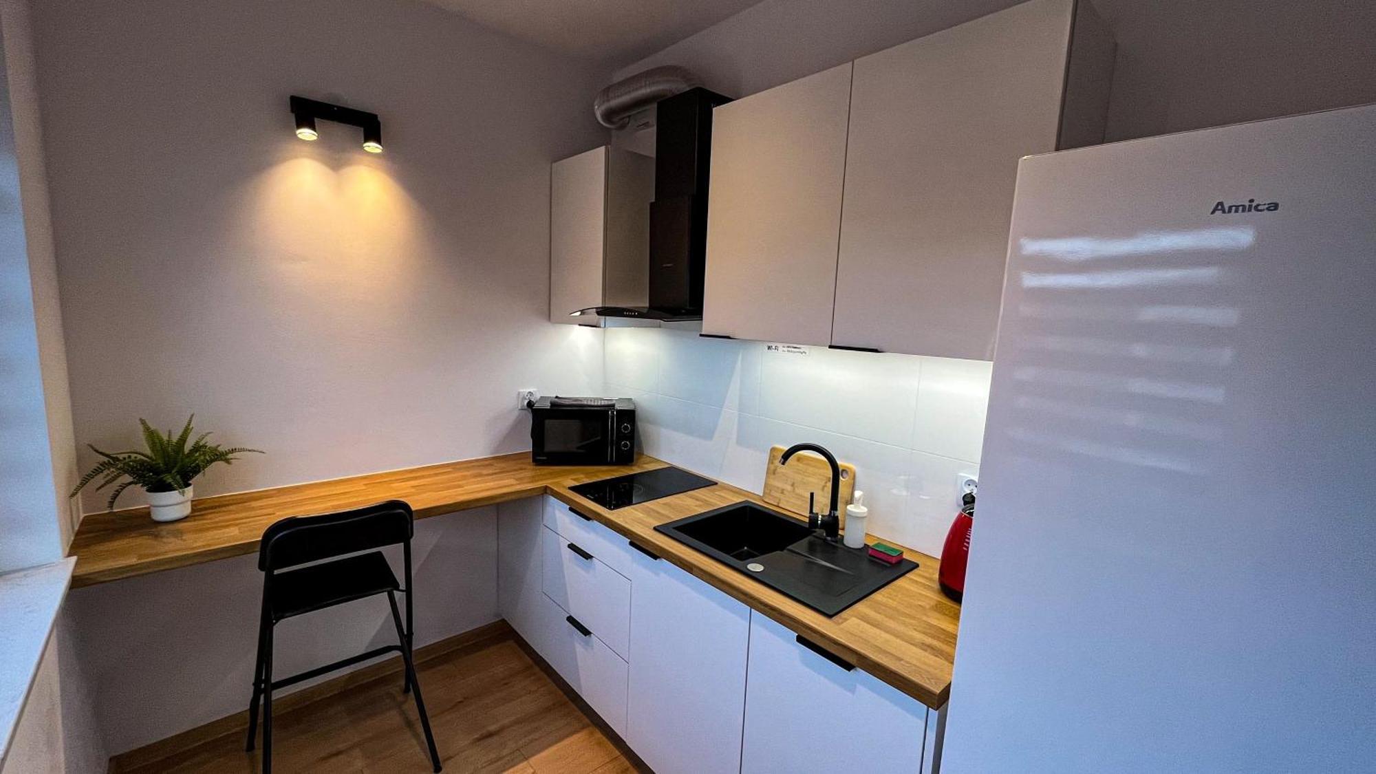 Centrum „ice Cat” Apartment *